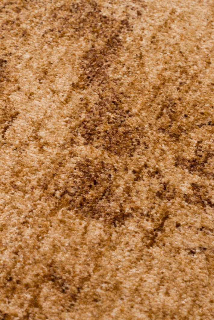SHIRAZ SHR 01 Bej halı - 130x190, 170x240, 200x290, 240x340 ölçü seçenekleri