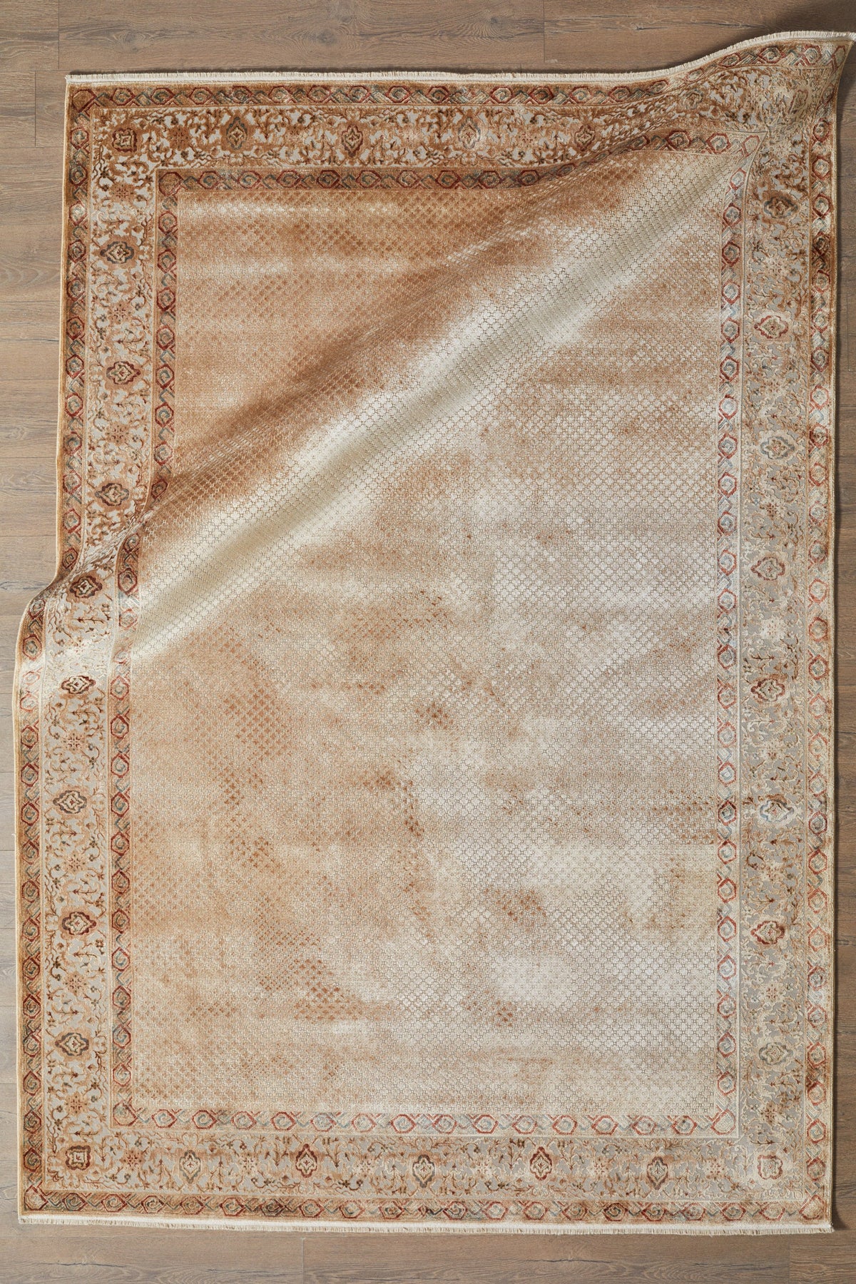 Apex Halı Pantheon 5041 PT Bej – görsel 5