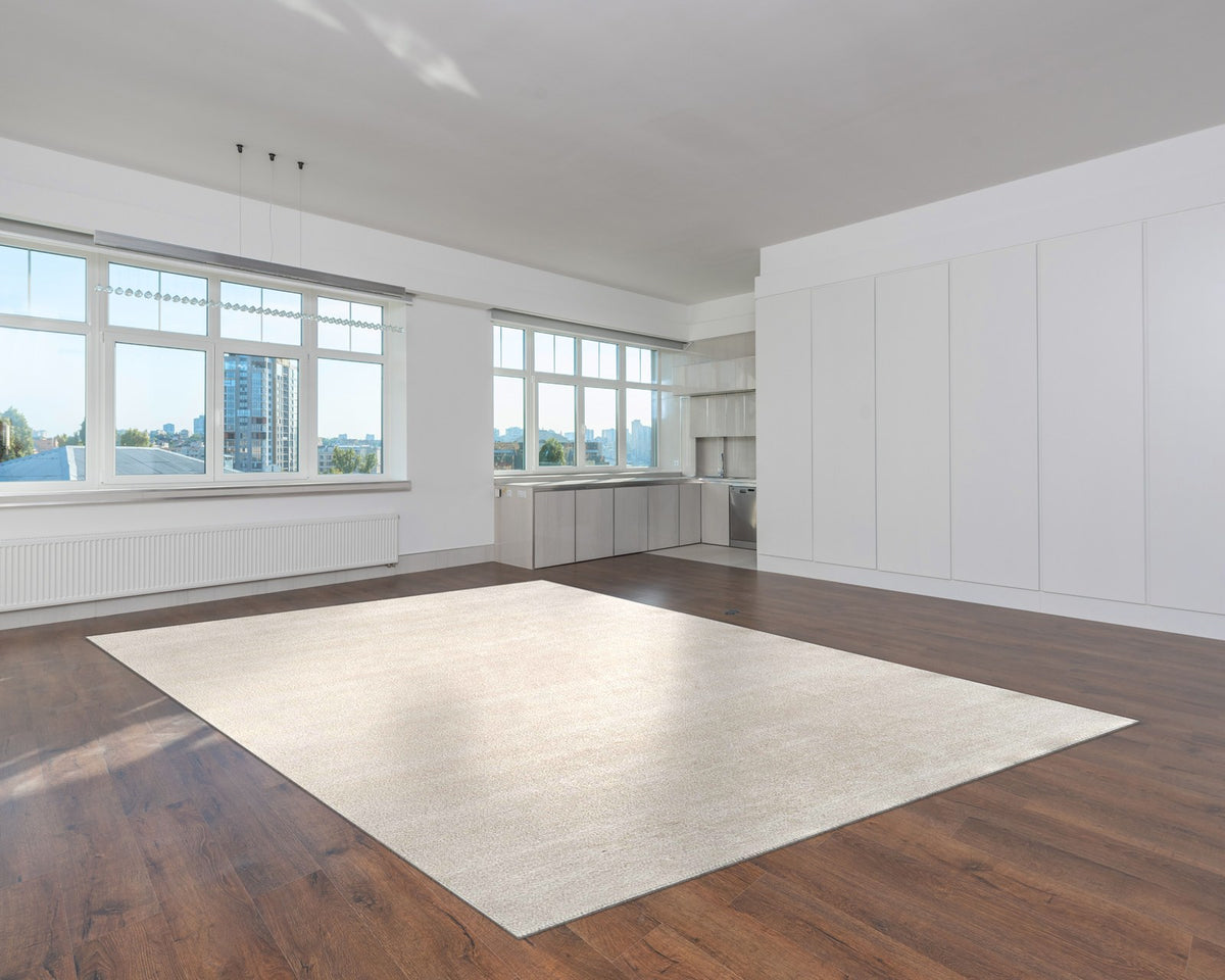 Royal Halı Alanis QG05A halı beyaz loft salonda